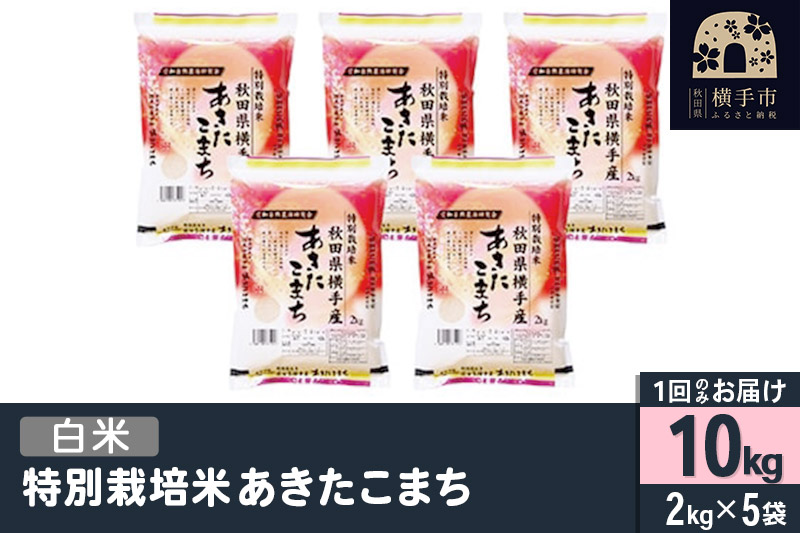 【白米】令和7年産 特別栽培米 あきたこまち 10kg（2kg×5袋）