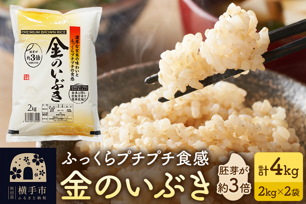【玄米】米 金のいぶき 4kg(2kg×2袋) 令和7年産