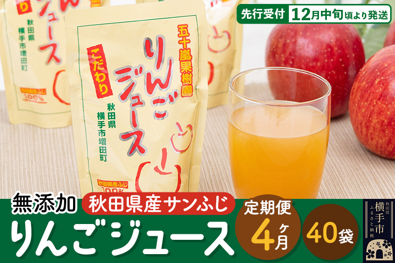 《定期便4ヶ月》 無添加りんごジュース（サンふじ）40パック