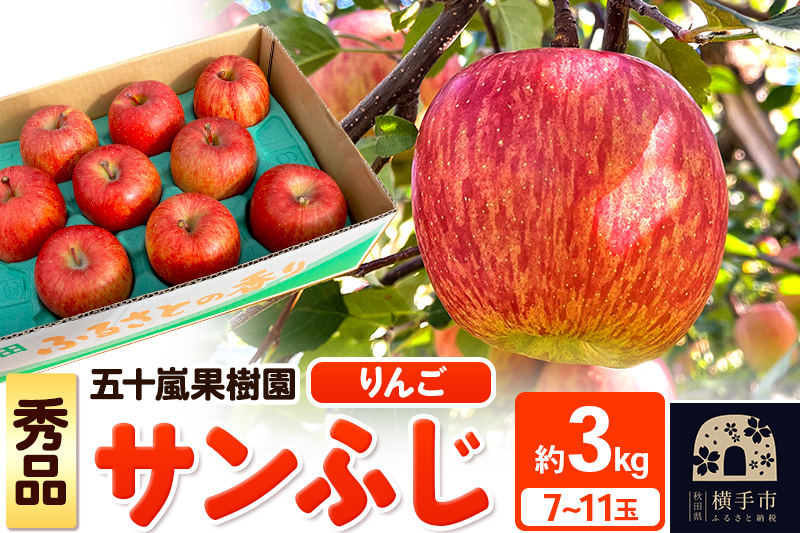 12月中旬より発送 サンふじ【秀品】約3kg（7～11玉）りんご 林檎