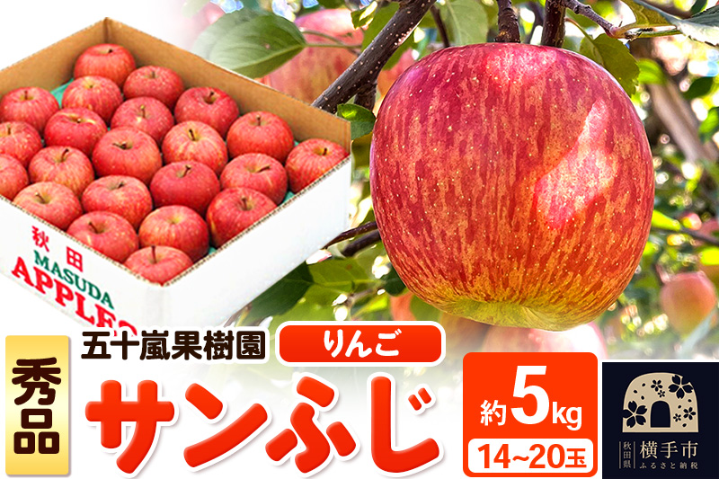 12月中旬より発送 サンふじ【秀品】約5kg（14～20玉）りんご 林檎