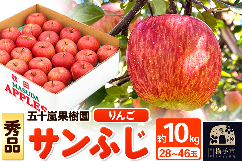 12月中旬より発送 サンふじ 【秀品】約10kg （28～46玉）りんご 林檎