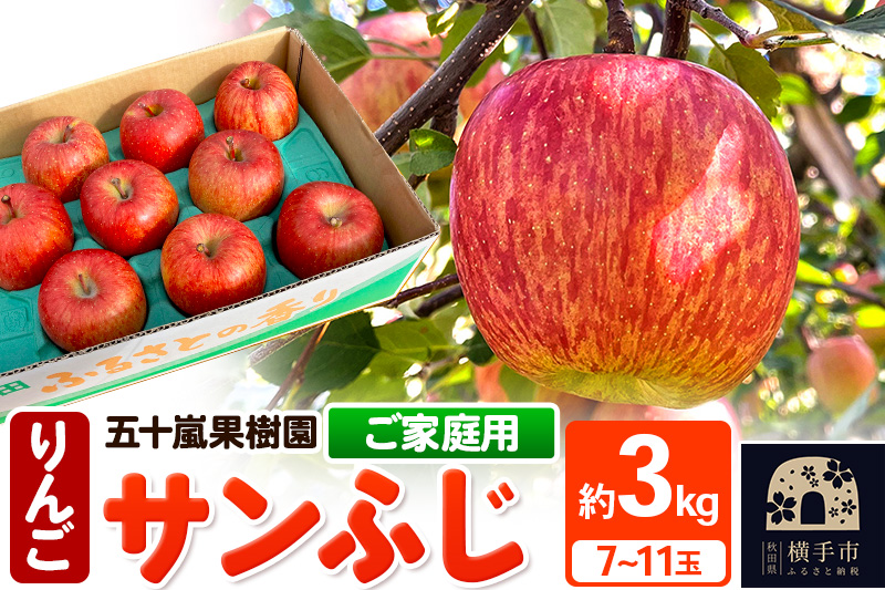 12月中旬より発送 サンふじ【ご家庭向け】約3kg（7～11玉）りんご 林檎