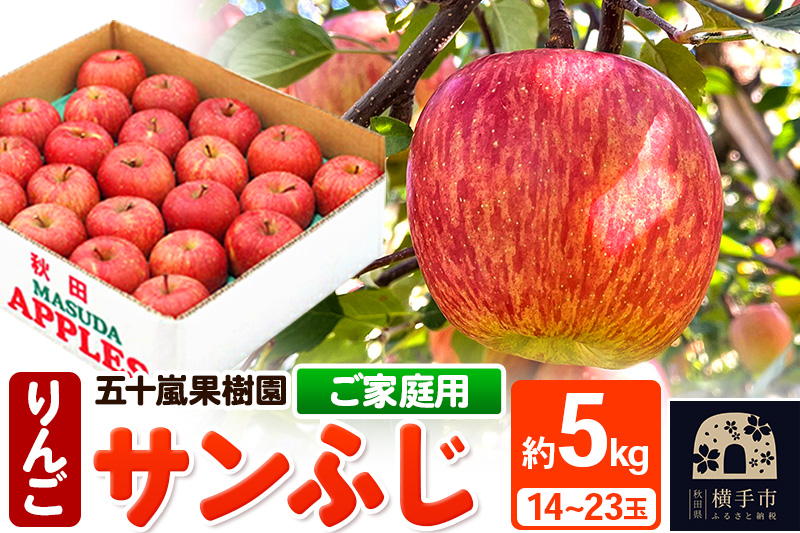 12月中旬より発送 サンふじ 【ご家庭用】約5kg（14～23玉）りんご 林檎