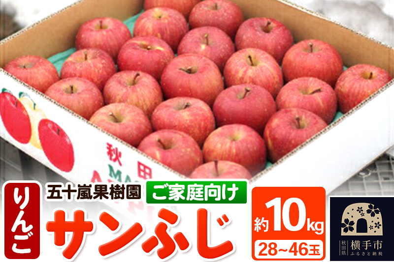 12月中旬より発送 【ご家庭向け】サンふじ 約10kg (28～46玉) りんご 林檎