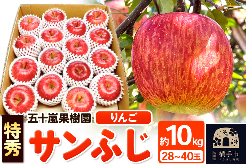 12月中旬より発送 サンふじ 【特秀】 約10kg（28～40玉）りんご 林檎