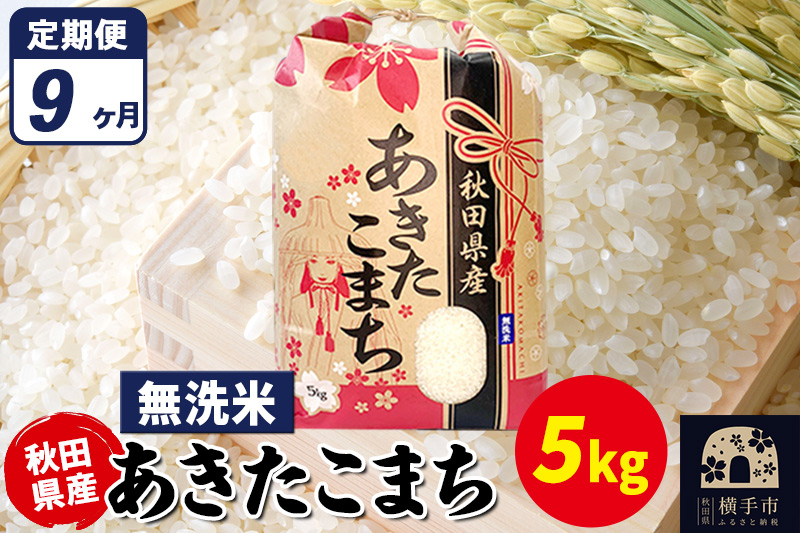 《定期便9ヶ月》あきたこまち 5kg【無洗米】令和7年産 秋田県産 こまちライン