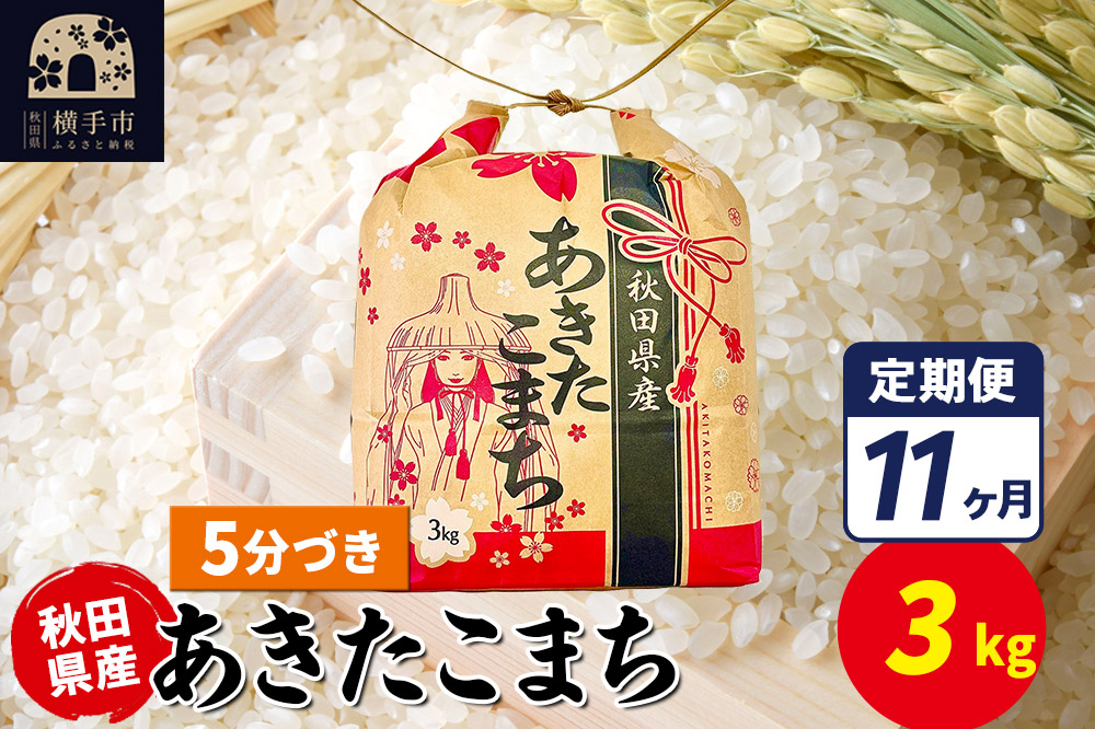 《定期便11ヶ月》あきたこまち 3kg×1袋【5分づき】令和7年産 秋田県産 こまちライン