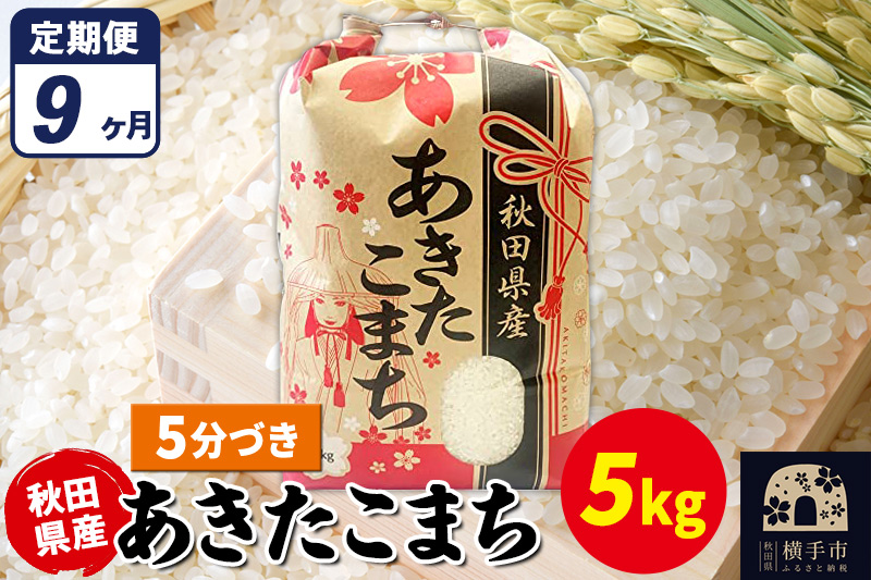 《定期便9ヶ月》あきたこまち 5kg【5分づき】令和7年産 秋田県産 こまちライン