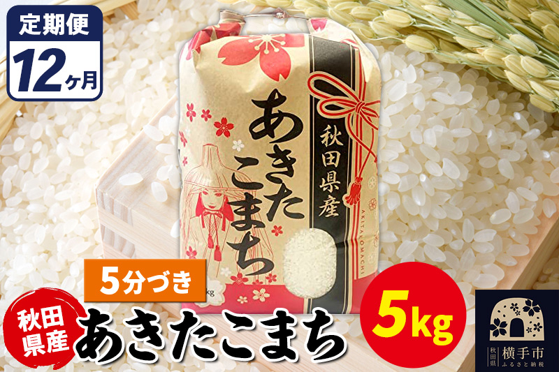 《定期便12ヶ月》あきたこまち 5kg【5分づき】令和7年産 秋田県産 こまちライン