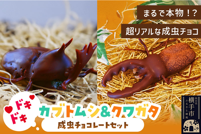 カブトムシの成虫チョコレート＆クワガタチョコレート 小松屋本店 プレゼント インスタ映え お菓子 スイーツ チョコ チョコレート ギフト
