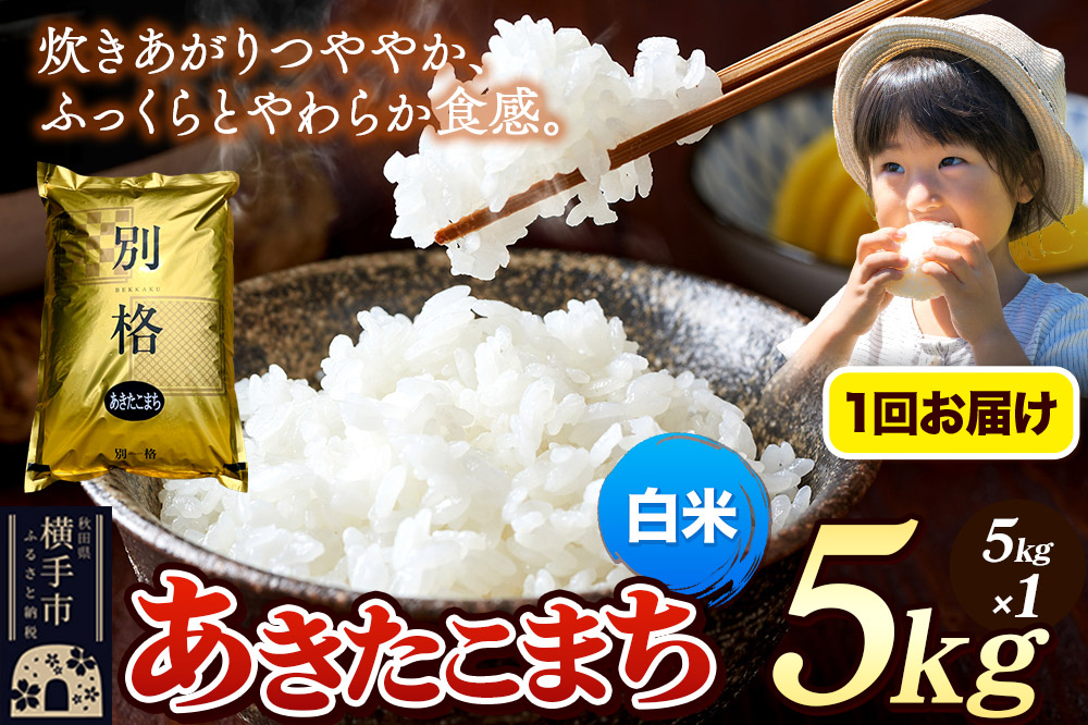 《令和7年産》 米 あきたこまち 5kg 【白米】 秋田県産