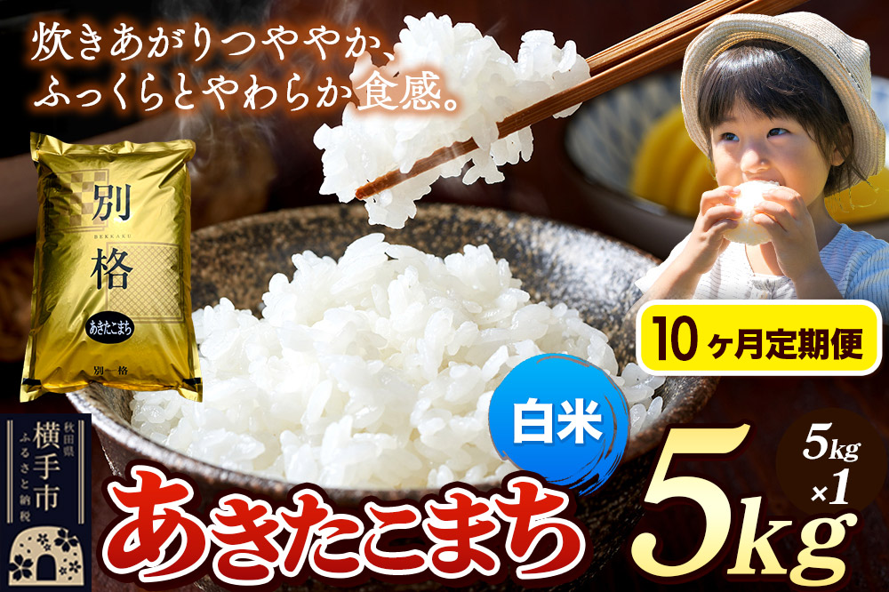 《令和7年産》《定期便10ヶ月》 米 あきたこまち 5kg 【白米】 秋田県産