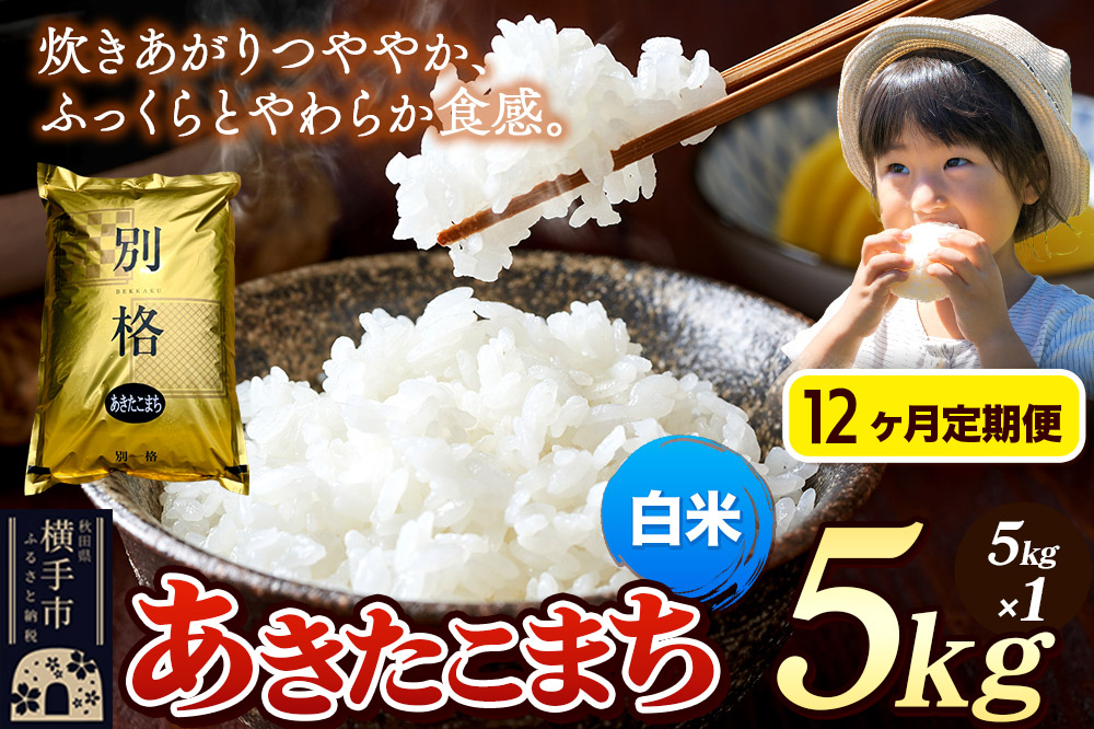 《令和7年産》《定期便12ヶ月》 米 あきたこまち 5kg 【白米】 秋田県産
