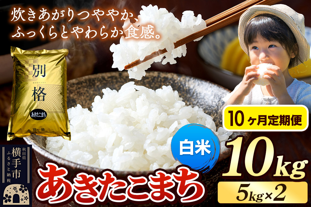 《令和7年産》《定期便10ヶ月》 米 あきたこまち 10kg（5kg×2袋） 【白米】 秋田県産