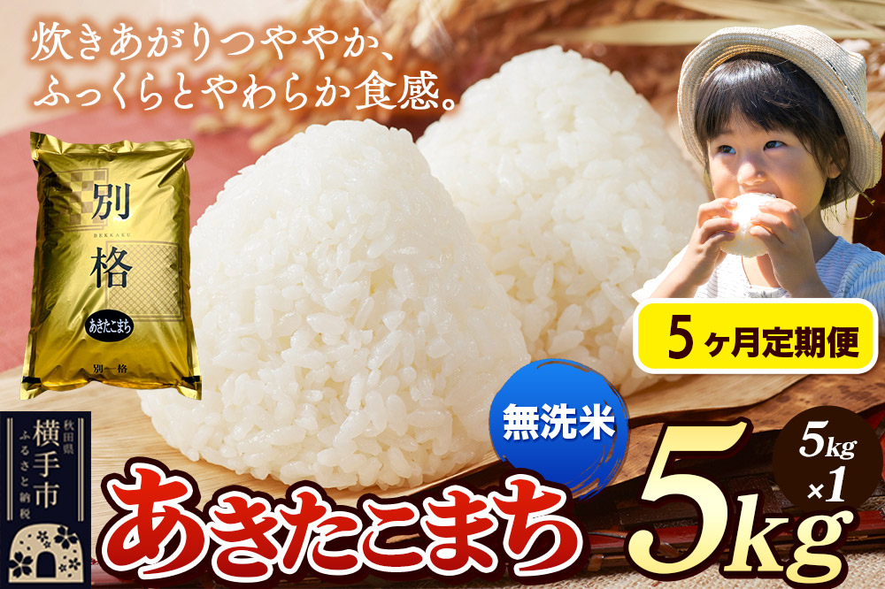 《令和7年産》《定期便5ヶ月》 米 あきたこまち 5kg 【無洗米】 秋田県産