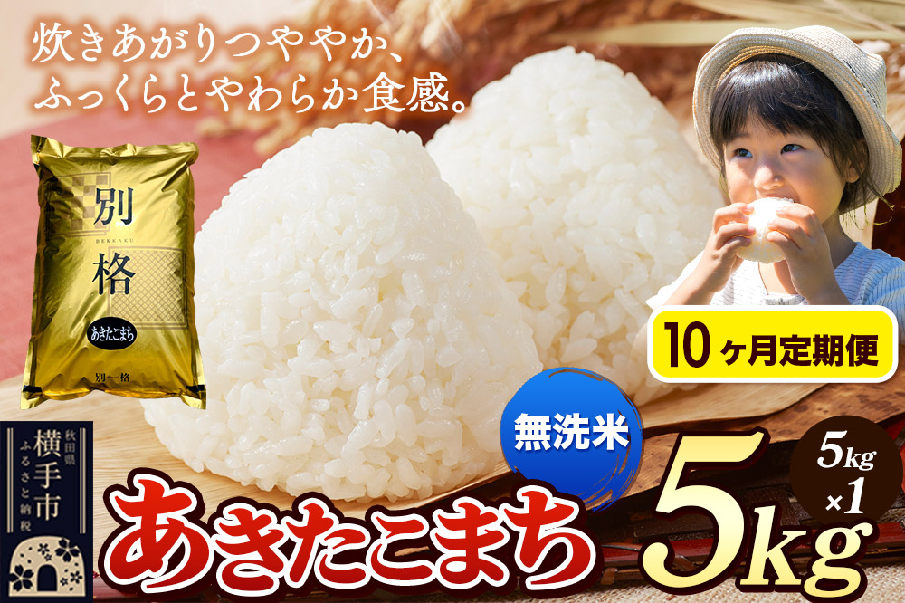 《令和7年産》《定期便10ヶ月》 米 あきたこまち 5kg 【無洗米】 秋田県産