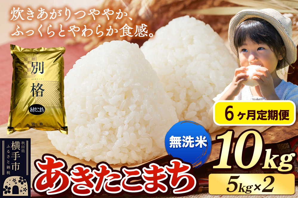 《令和7年産》《定期便6ヶ月》 米 あきたこまち 10kg（5kg×2袋） 【無洗米】 秋田県産