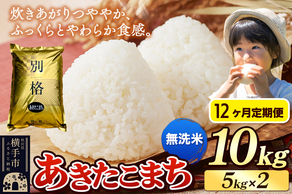 《令和7年産》《定期便12ヶ月》 米 あきたこまち 10kg（5kg×2袋） 【無洗米】 秋田県産