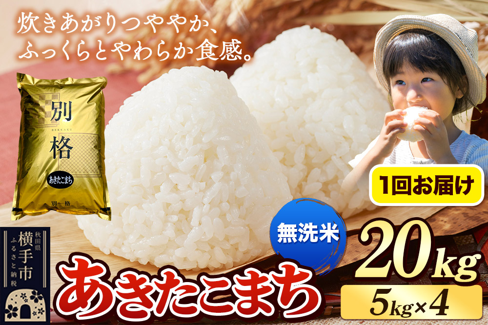 《令和7年産》 米 あきたこまち 20kg（5kg×4袋） 【無洗米】 秋田県産