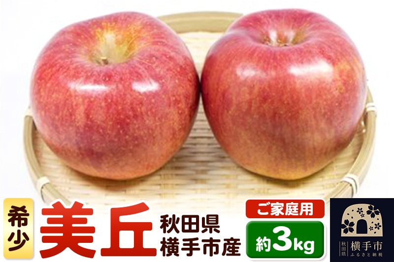 希少品種！追熟でおいしさ倍増！横手市産りんご(美丘) ご家庭用 約3kg