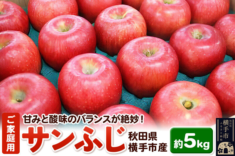 秋田県横手産 りんご サンふじ ご家庭用 約5kg [秋田県 横手市 林檎 リンゴ 果物 フルーツ 【りんご】特集]