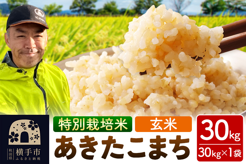 秋田県 横手市 【玄米】令和7年産 特別栽培米 あきたこまち 30kg（30kg×1袋）