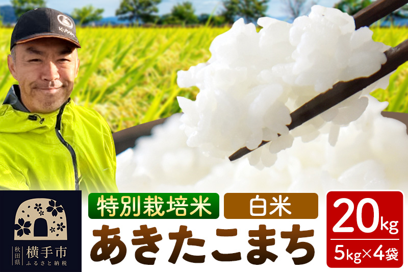 秋田県 横手市 【白米】令和7年産 秋田県産 特別栽培米 あきたこまち 20kg（5kg×4袋）