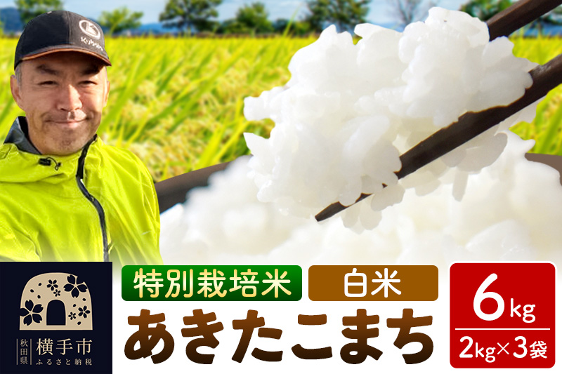 秋田県 横手市 【白米】令和7年産 秋田県産 特別栽培米 あきたこまち 6kg（2kg×3袋）