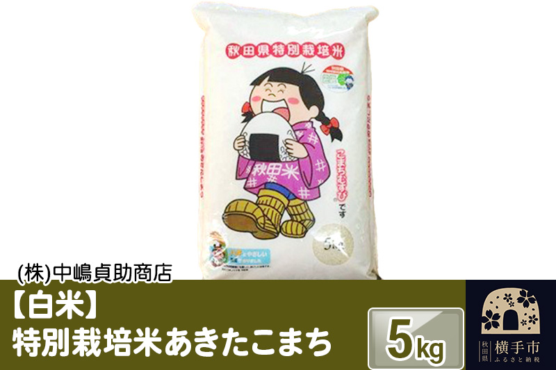 《令和7年産》【白米】秋田県横手産特別栽培米あきたこまち 5kg(5kg×1袋)