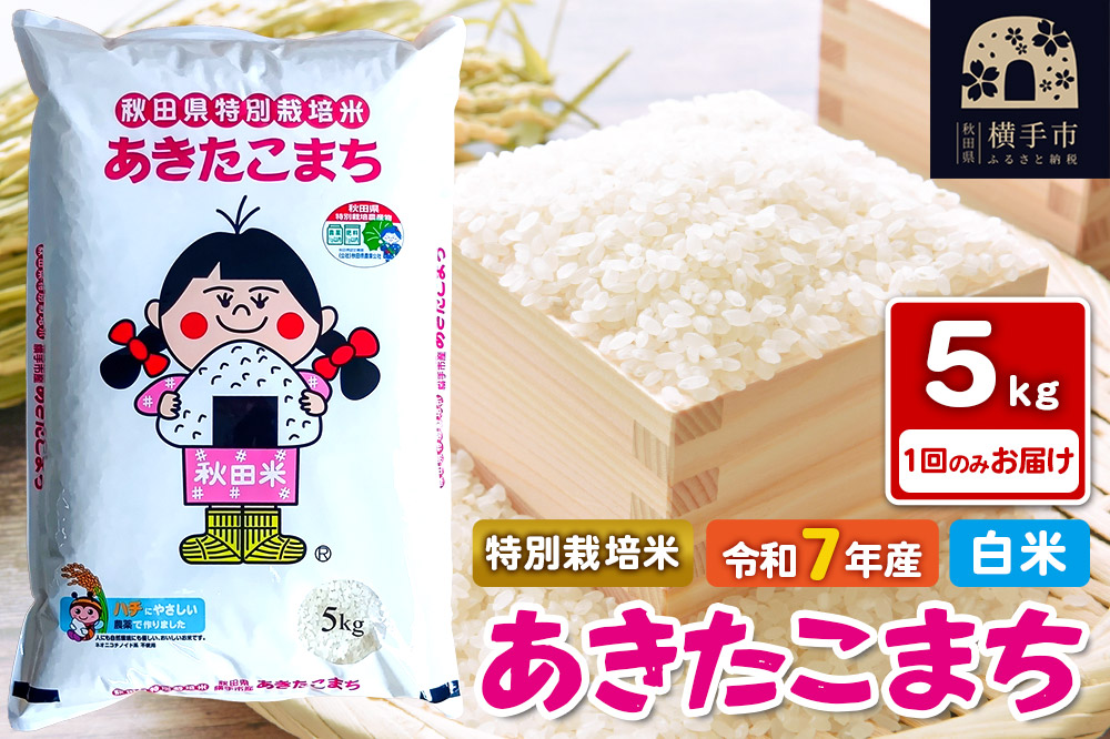 《令和7年産》【白米】秋田県横手産特別栽培米あきたこまち 5kg(5kg×1袋)