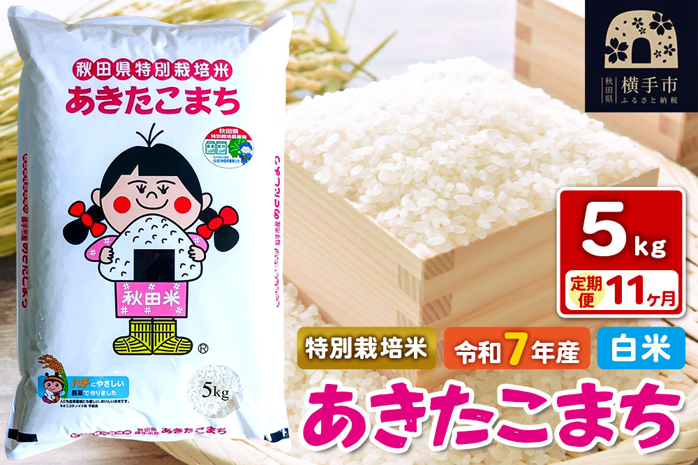 令和7年産【白米】《定期便11ヶ月》特別栽培米 あきたこまち 5kg 秋田県 横手市