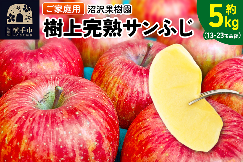 樹上完熟サンふじ ご家庭用 約5kg（13～23玉前後）
