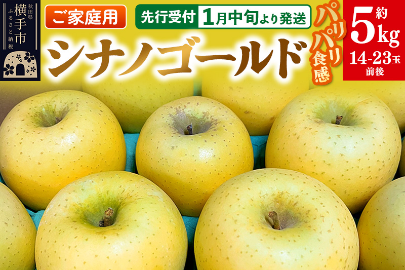 【先行受付】1月中旬より発送 パリパリ食感シナノゴールド ご家庭用 約5kg（14～23玉前後）