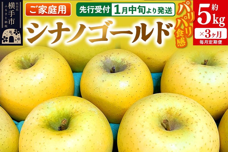 【先行受付】1月中旬より発送 《定期便3ヶ月》パリパリ食感シナノゴールド ご家庭用 約5kg（14～23玉前後）×3回 計15kg 3か月 3ヵ月 3カ月 3ケ月