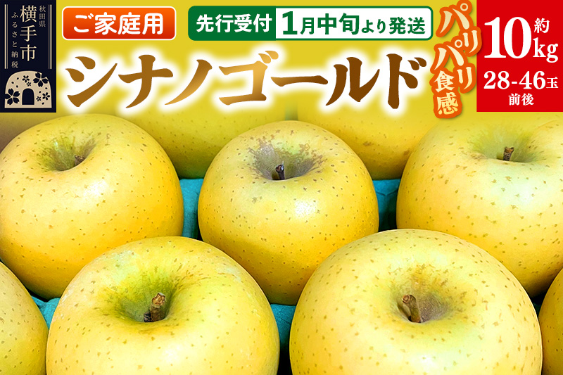 【先行受付】1月中旬より発送 パリパリ食感シナノゴールド ご家庭用 約10kg（28～46玉前後）