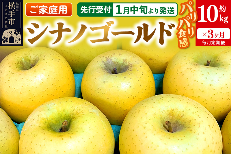 【先行受付】1月中旬より発送 《定期便3ヶ月》パリパリ食感シナノゴールド ご家庭用 約10kg（1回28～46玉前後）×3回 計30kg 3か月 3ヵ月 3カ月 3ケ月