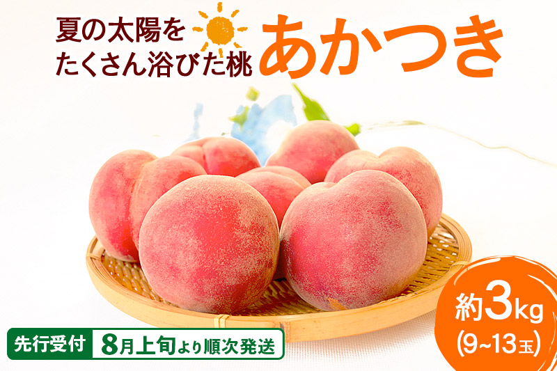 《先行受付！8月上旬より順次発送》夏の太陽をたくさん浴びた桃 あかつき 約3kg（9～13玉前後）