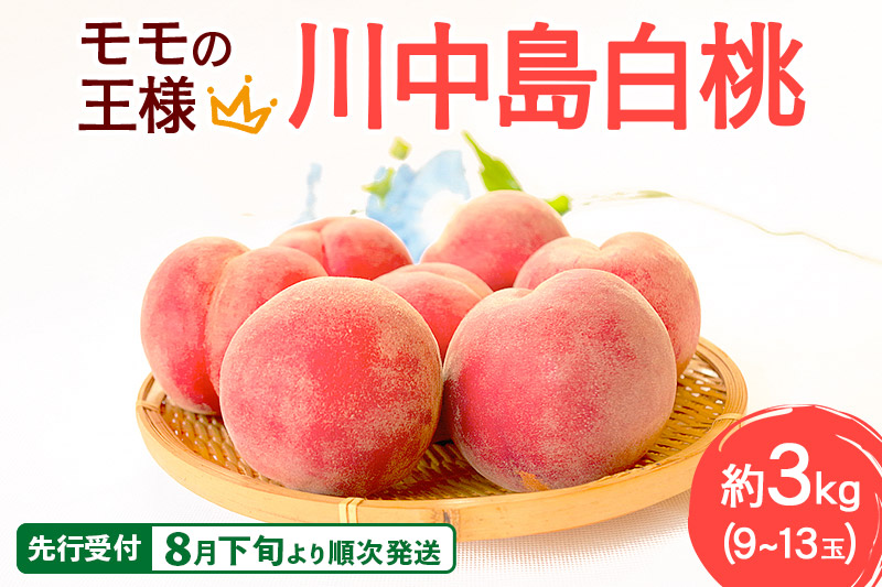 《先行受付！8月下旬より順次発送》モモの王様 川中島白桃 約3kg（9～13玉前後）
