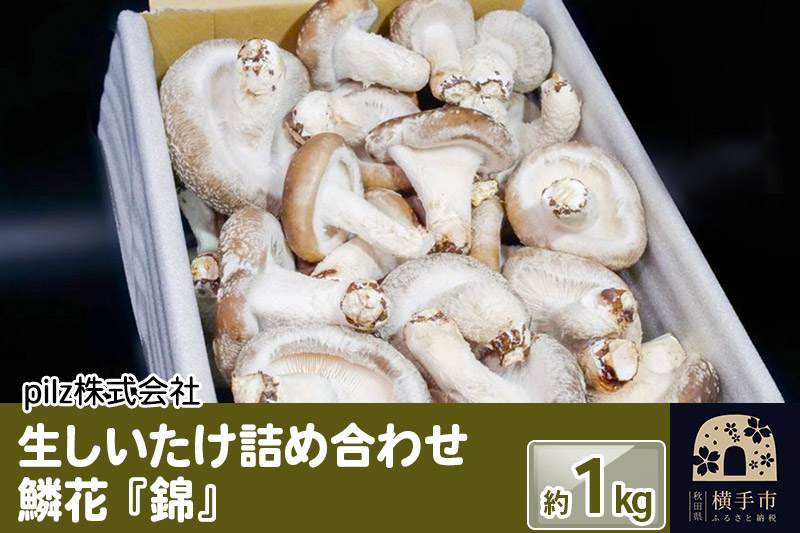 鱗花 -錦-（生椎茸） 約1kg