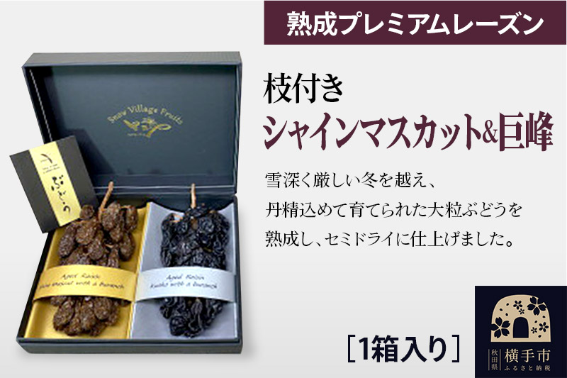 熟成プレミアムレーズン 枝付きプレミアムセット シャインマスカット＆巨峰
