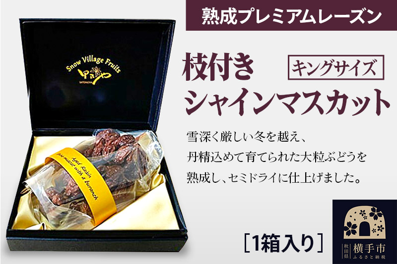 熟成プレミアムレーズン 枝付きシャインマスカット キングサイズ