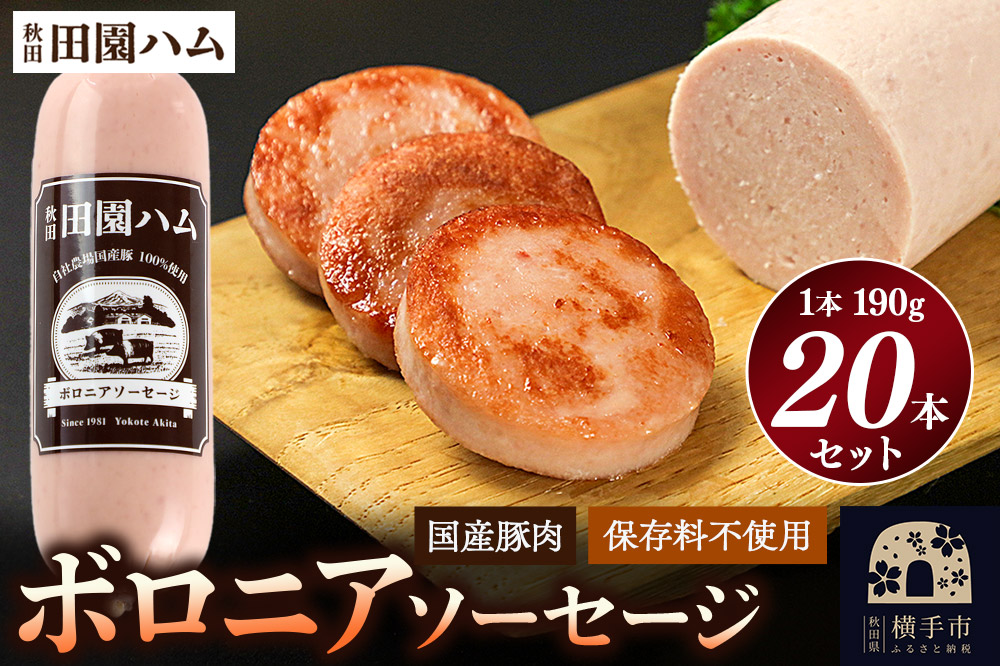 田園ハム ボロニアソーセージ 190g×20本セット