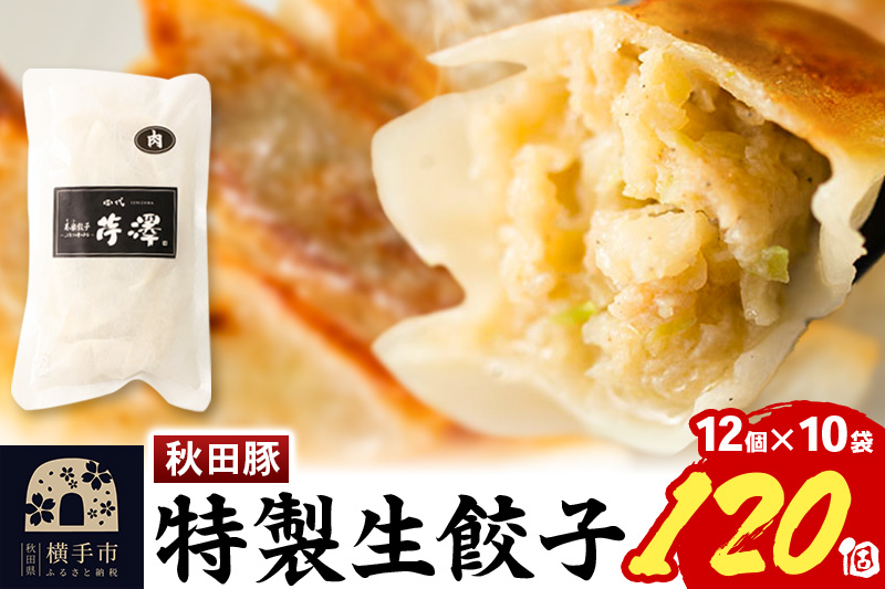 小籠包のような肉餃子（豚肉使用）12個入×10袋