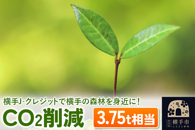 横手J‐クレジットで横手の森林を身近に! CO2削減 3.75t相当