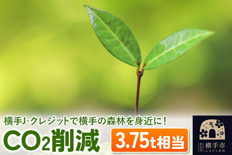 横手J‐クレジットで横手の森林を身近に! CO2削減 3.75t相当 [環境保護 森林保全 森林保護 SDGs エコ eco 二酸化炭素 CO2]
