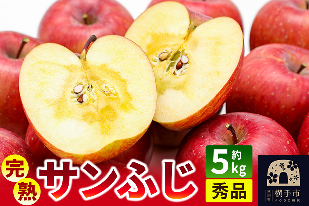 完熟サンふじ秀品 約5kg（16～20個入）りんご