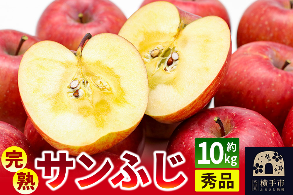 完熟サンふじ秀品 約10kg（32～40個入）りんご