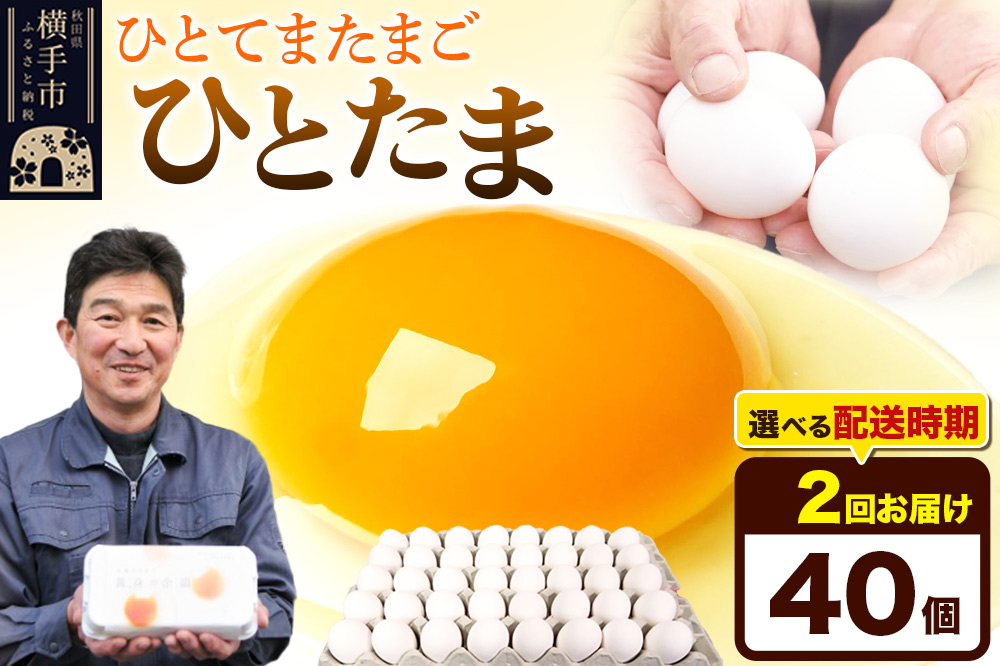 【常温発送】《定期便2ヶ月》ひとたま 40個（業務用）【発送時期が選べる】東海林養鶏場 ひとたま 卵 玉子 たまご タマゴ 2か月 2ヵ月 2カ月 2ケ月 開始時期選べる