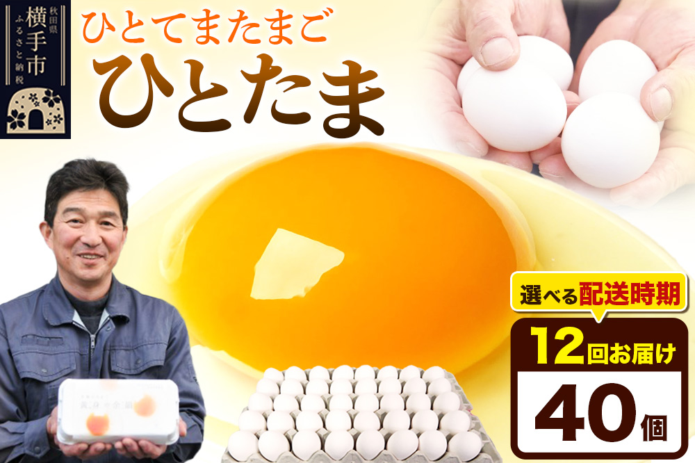 【常温発送】《定期便12ヶ月》ひとたま 40個（業務用）【発送時期が選べる】東海林養鶏場 ひとたま 卵 玉子 たまご タマゴ 12か月 12ヵ月 12カ月 12ケ月 開始時期選べる